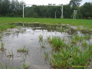 Powiększ