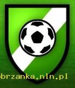 Powiększ