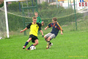 Powiększ