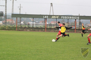 Powiększ