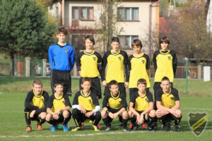 Powiększ