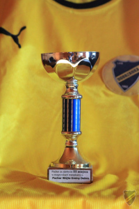 Powiększ