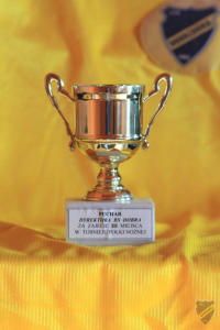 Powiększ