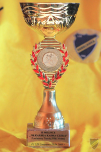 Powiększ