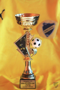 Powiększ