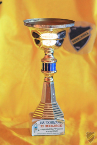 Powiększ