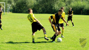 Powiększ