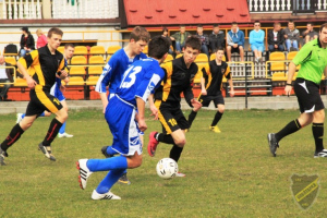 Powiększ