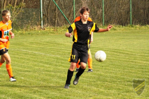 Powiększ