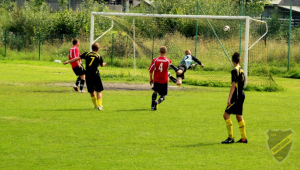 Powiększ
