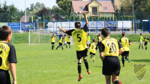 Powiększ