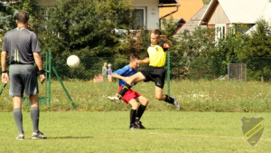 Powiększ