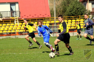 Powiększ