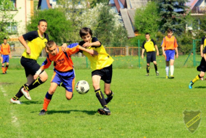 Powiększ