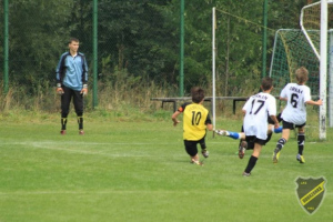 Powiększ