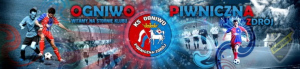 Powiększ