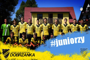 Powiększ