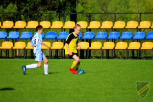 Powiększ