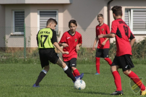 Powiększ